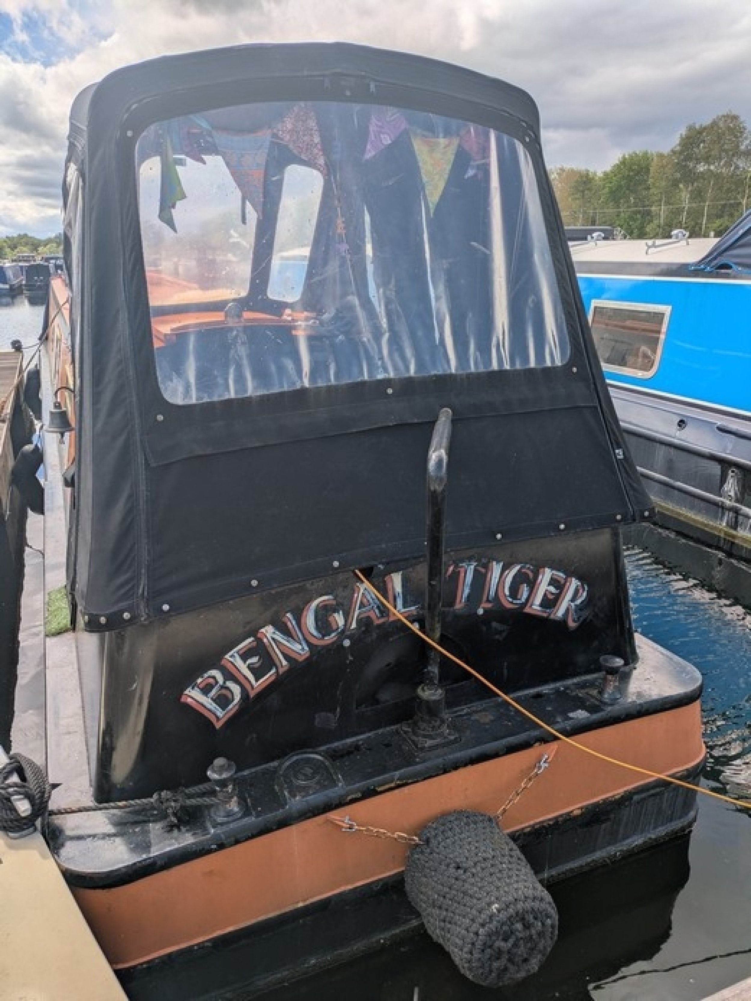 Bengal Tiger
