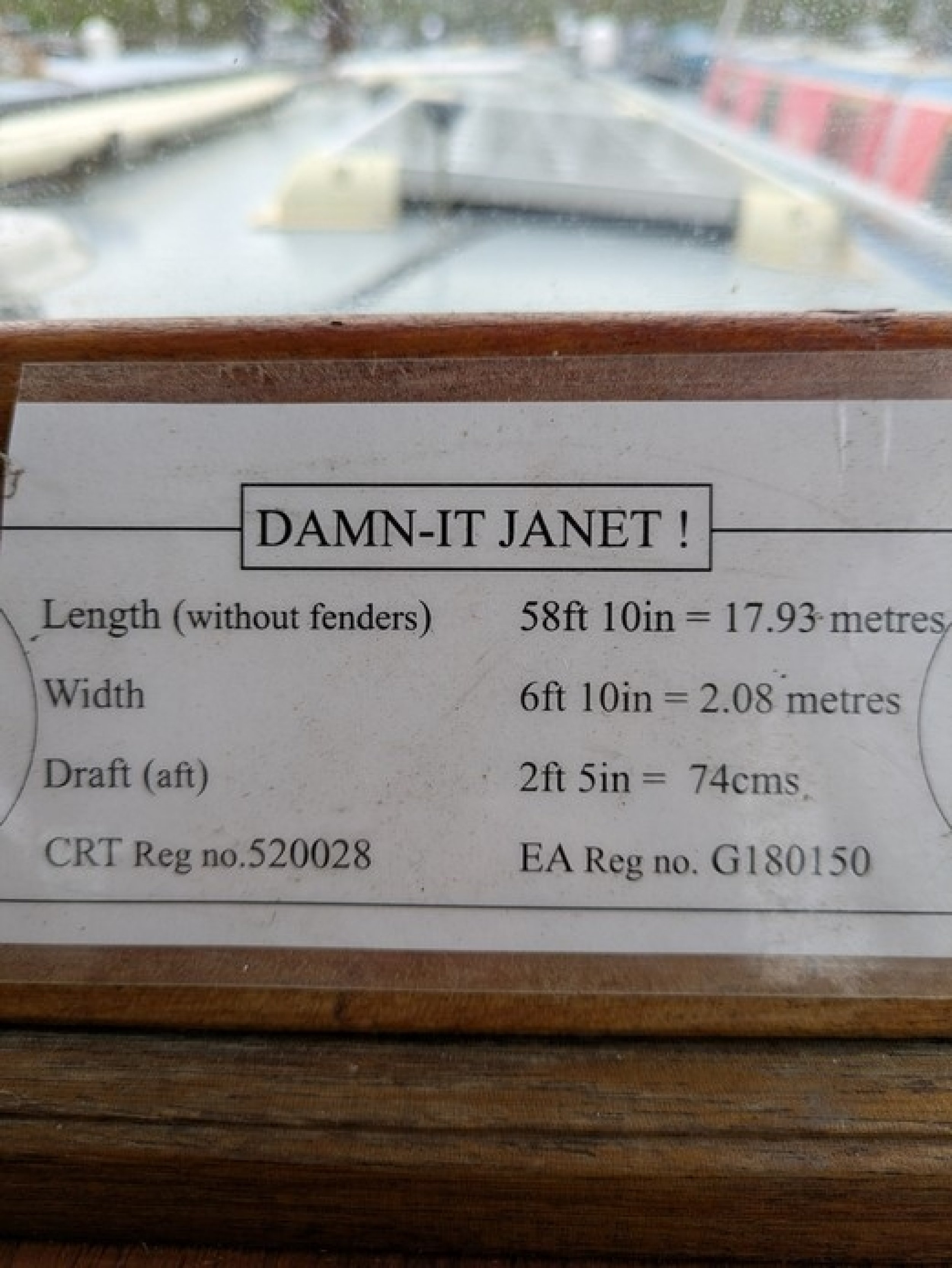 Damn It Janet
