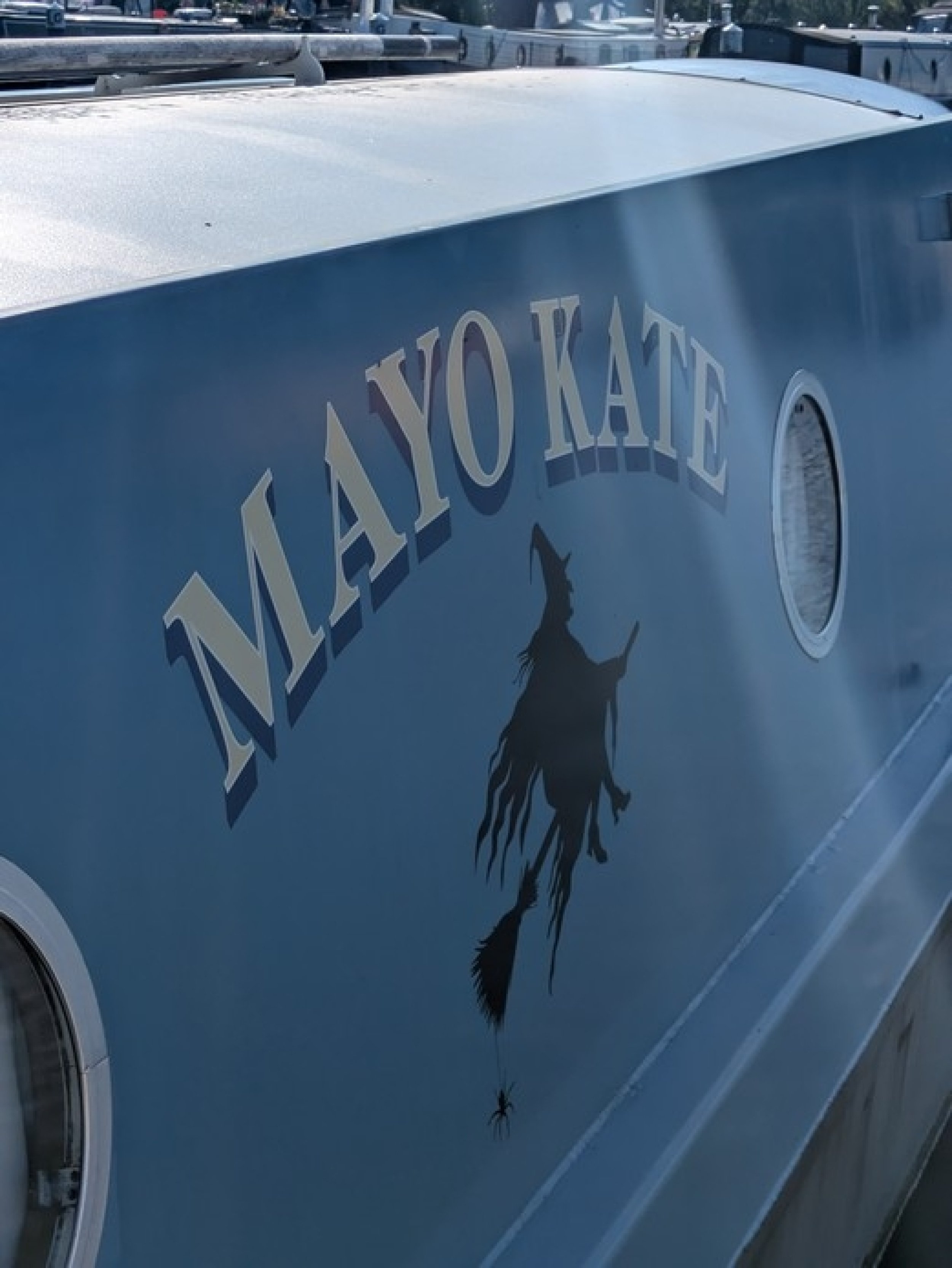 Mayo Kate