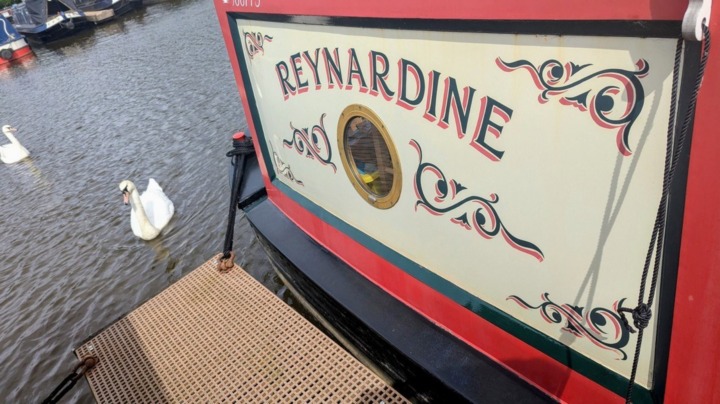 Raynardine