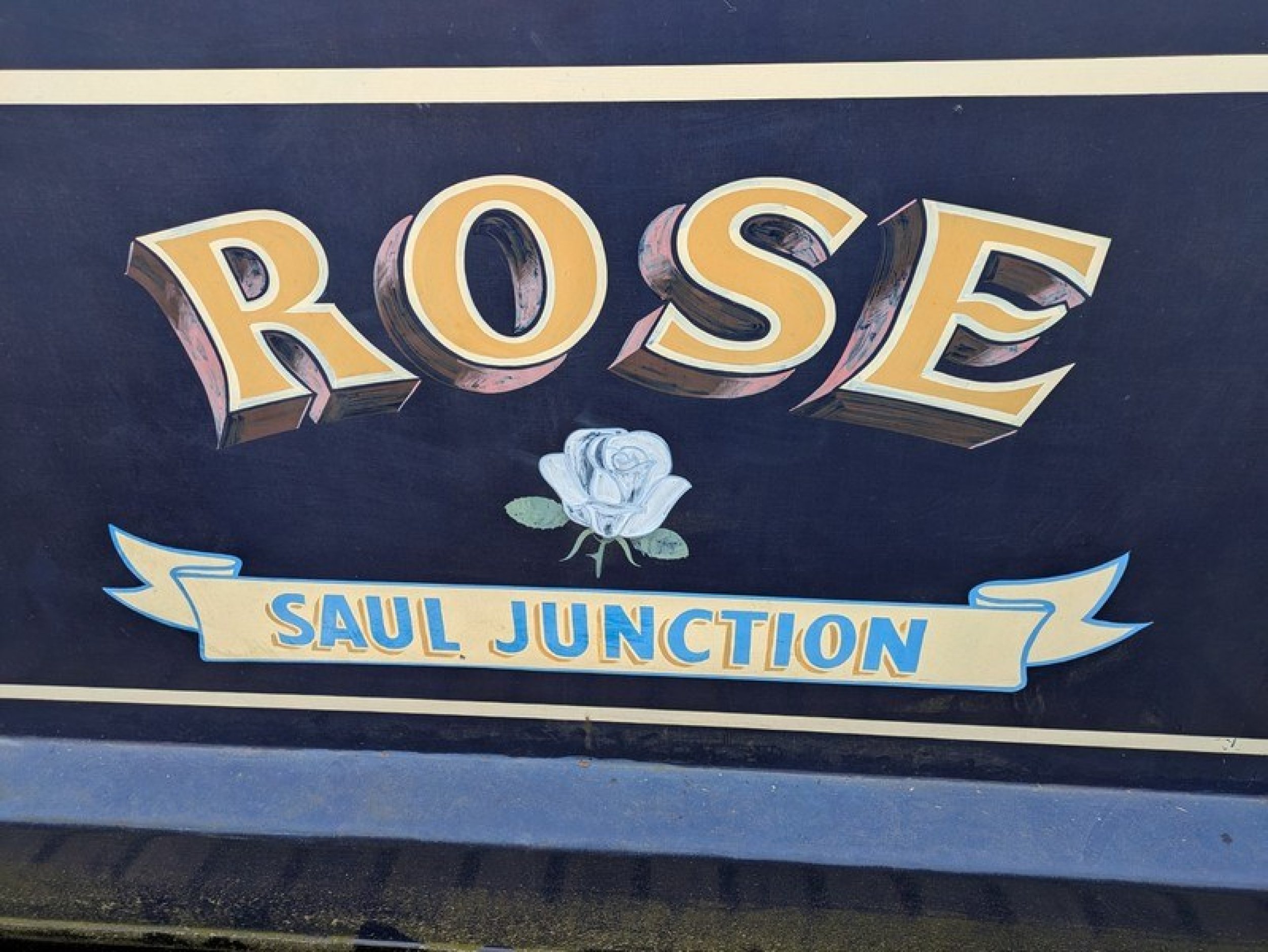 Rose