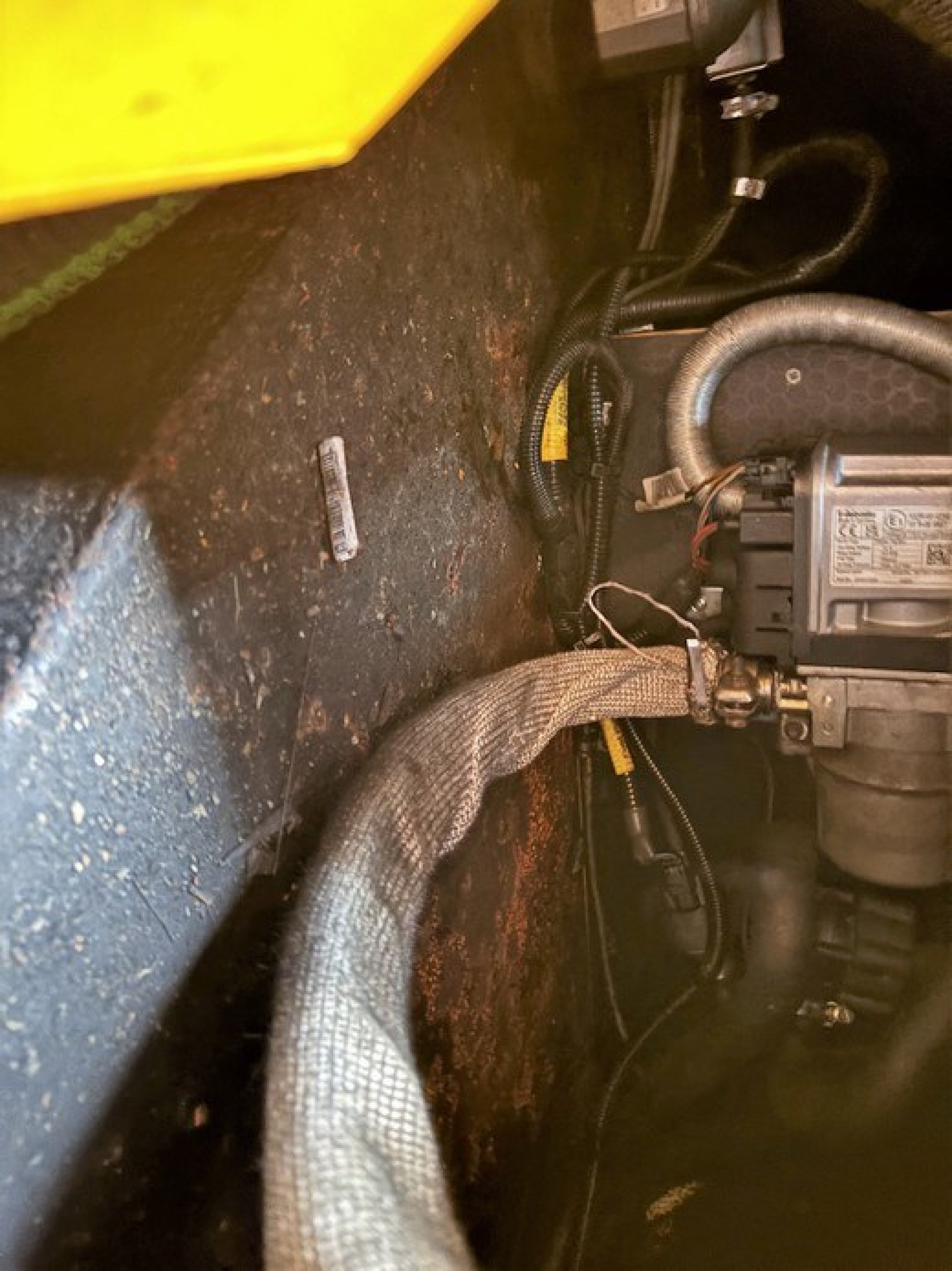 Saffron