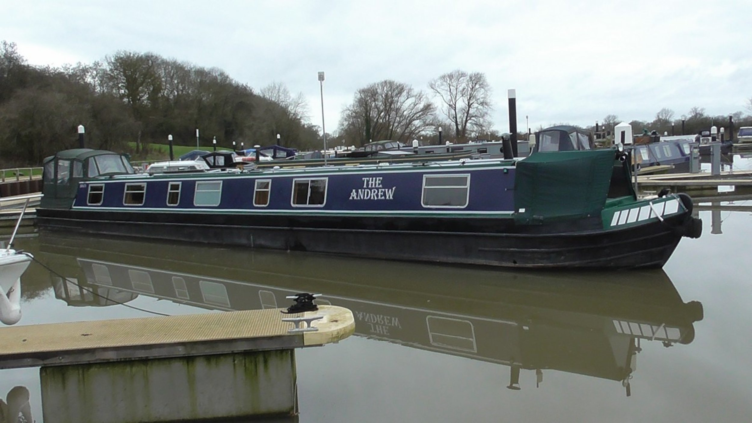 The Andrew