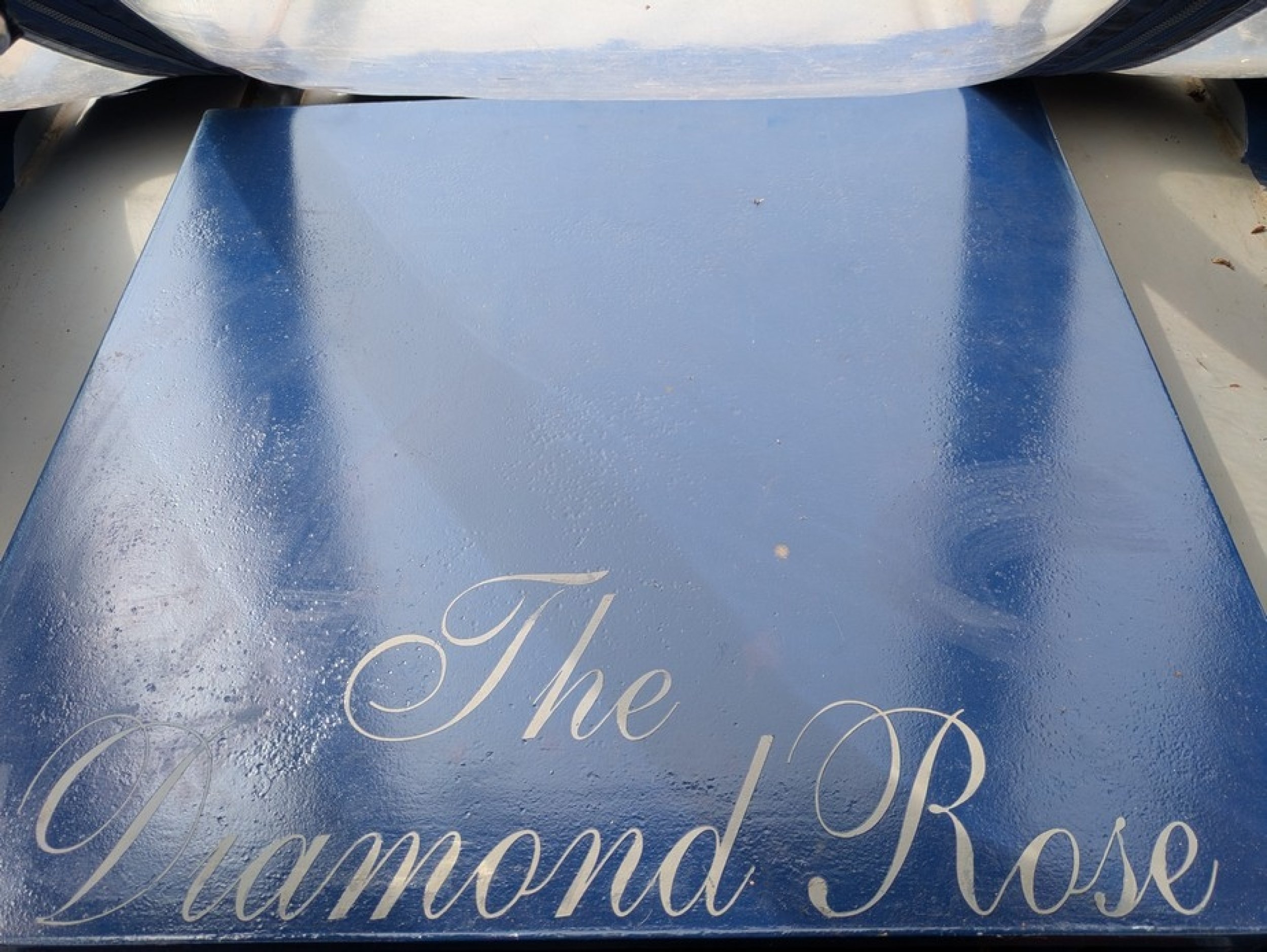 The Diamond Rose