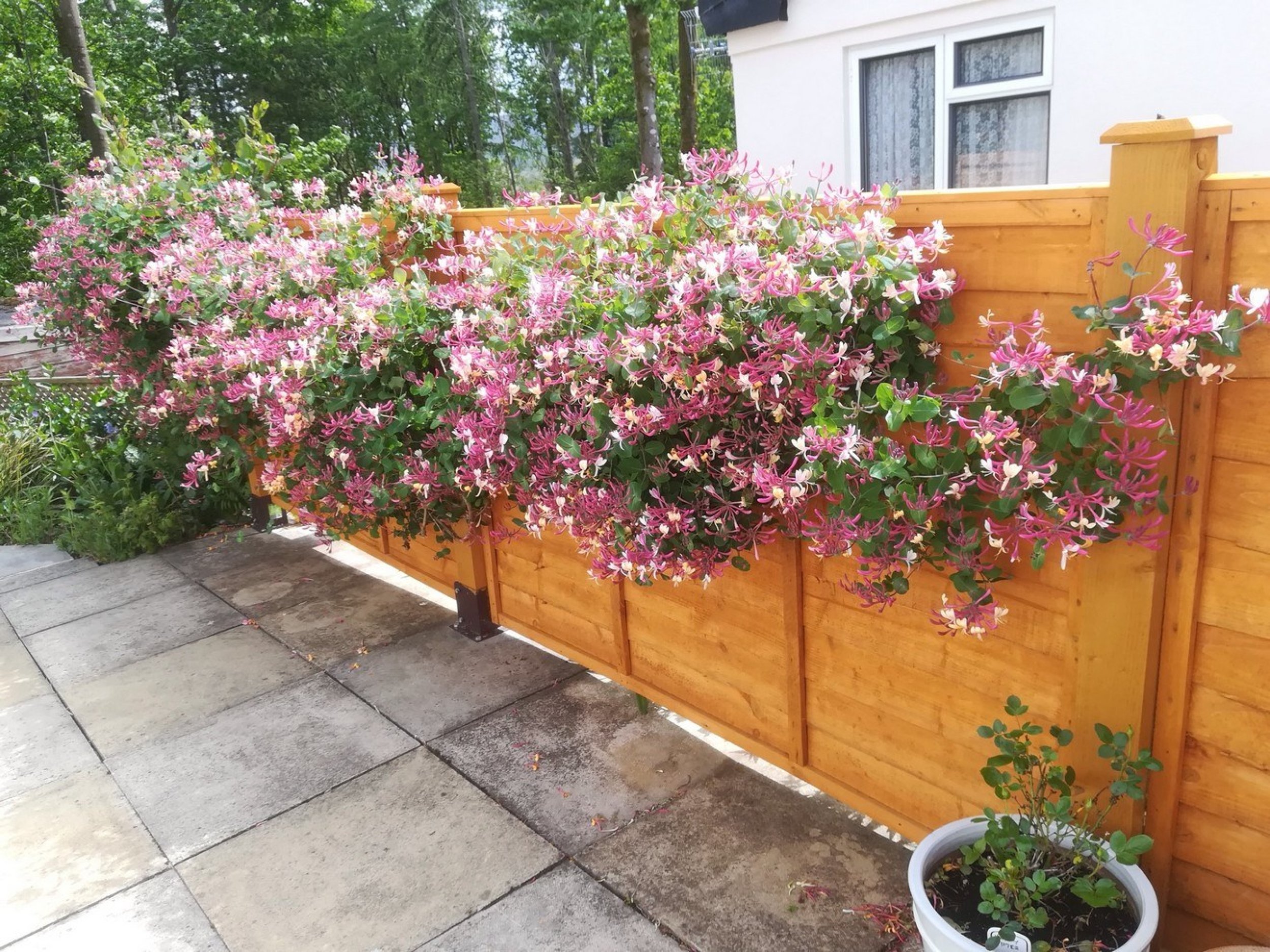 8 Wood Acre Close